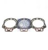 DT 4.20241 Gasket Set, cylinder head